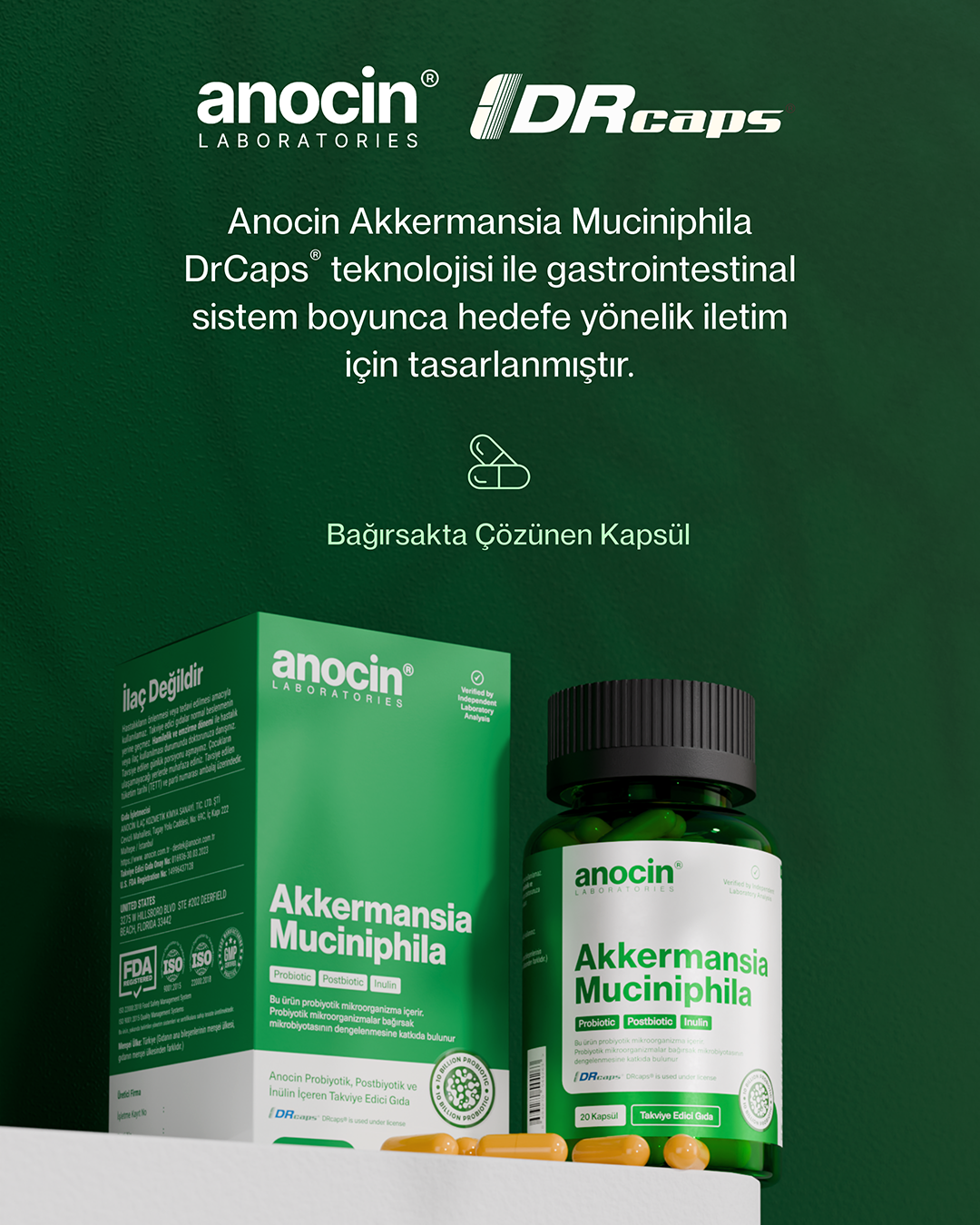 Akkermansia Muciniphila 10 Milyar Probiyotik + Postbiyotik + İnülin