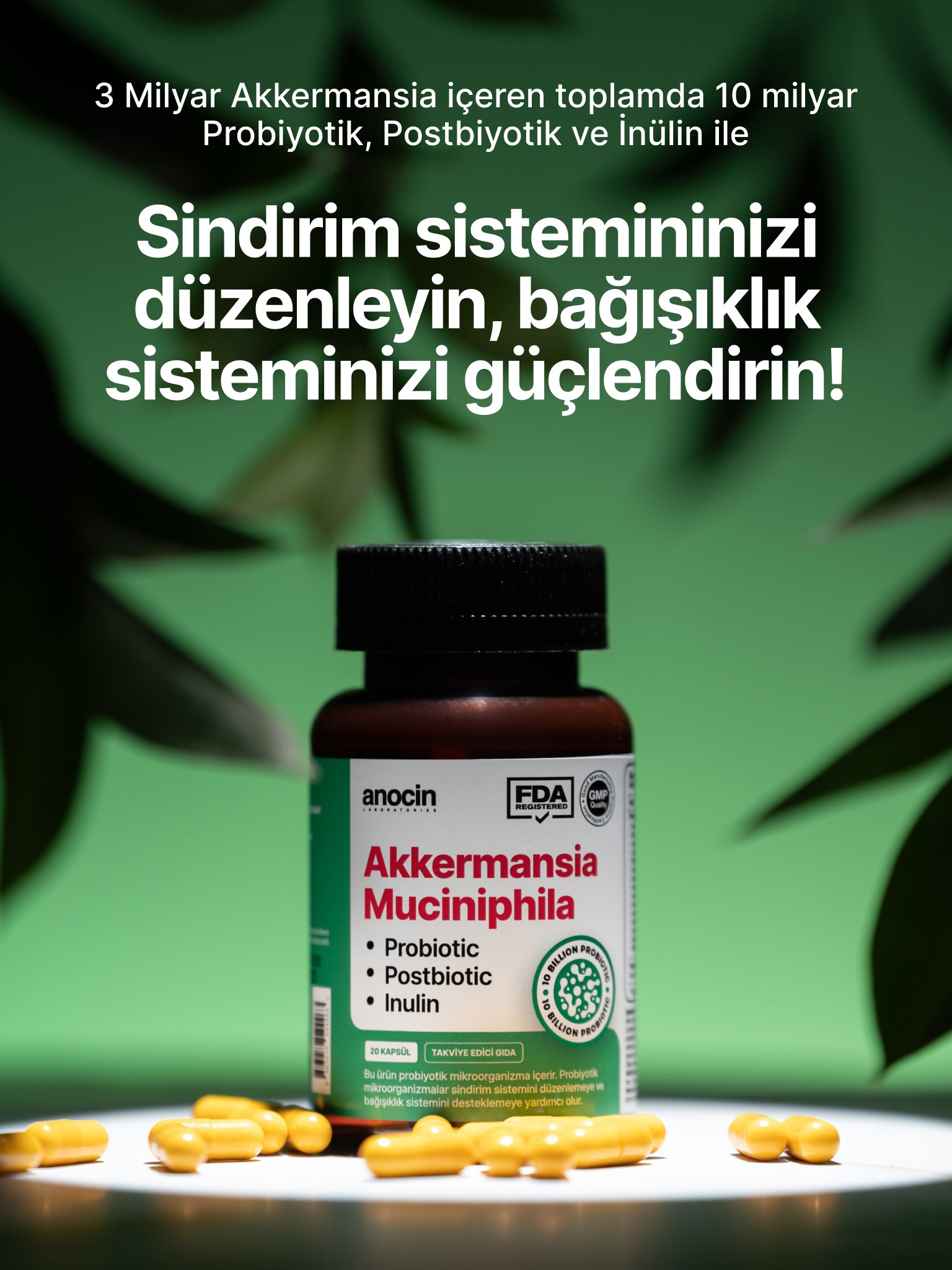 Akkermansia Muciniphila 10 Milyar Probiyotik + Postbiyotik + İnülin